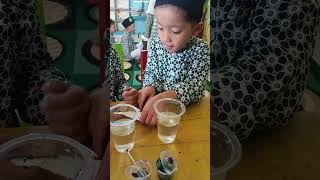 Eksperimen membuat pelangi dg cara kerja kapilaritas