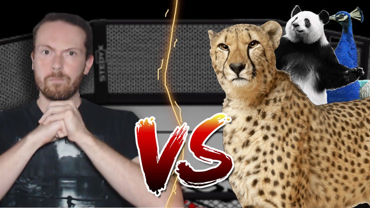 Como eu derrotaria um GUEPARDO só NO SOCO