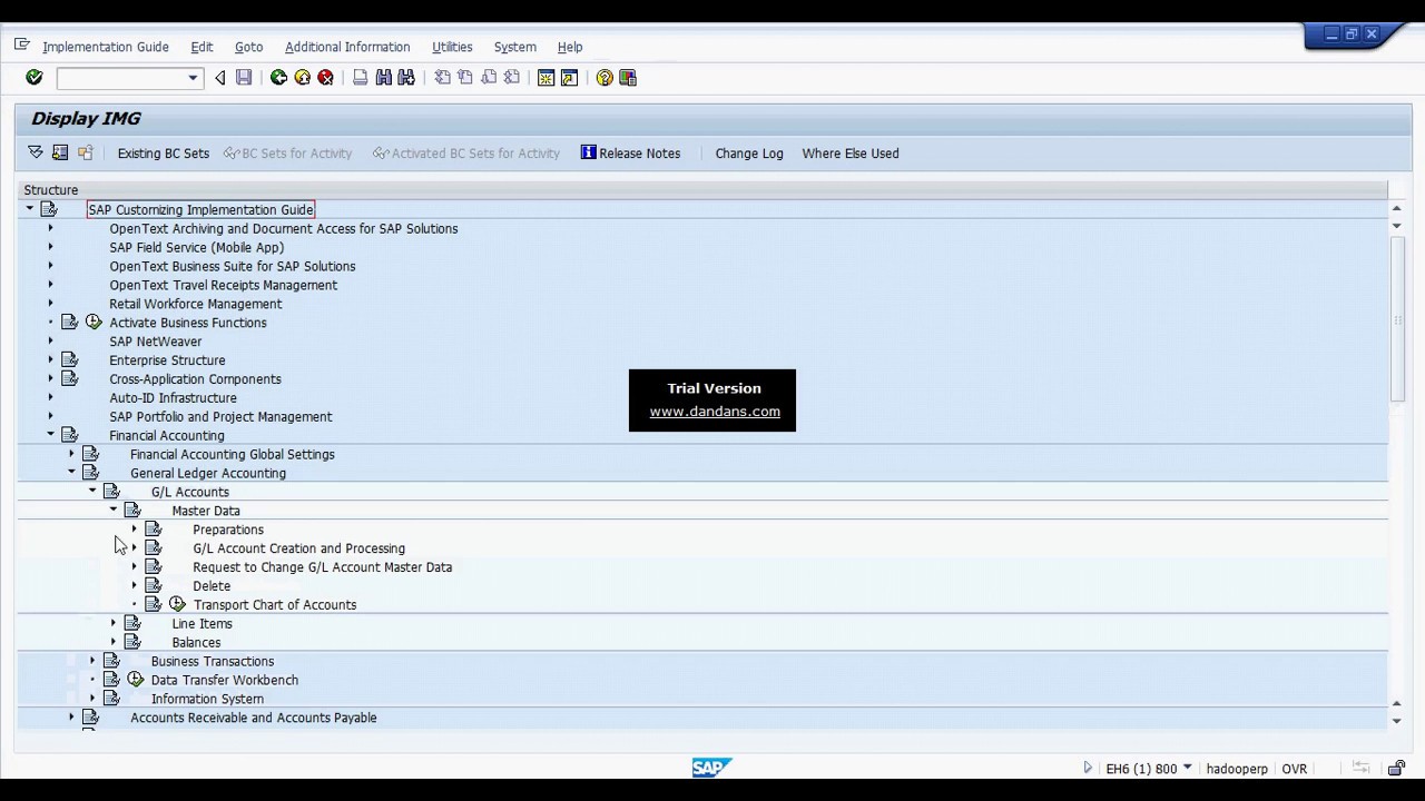 How to Configure Chart of Accounts in SAP || Chart of Accounts - YouTube