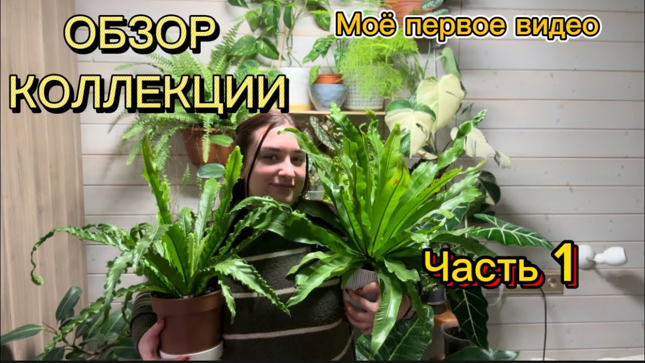 ОБЗОР КОЛЛЕКЦИИ, МОЁ ПЕРВОЕ ВИДЕО