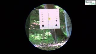 Schmidt Bender 12-50X56 Pm Iip Reticle P4 Fine Sfp Subtensions