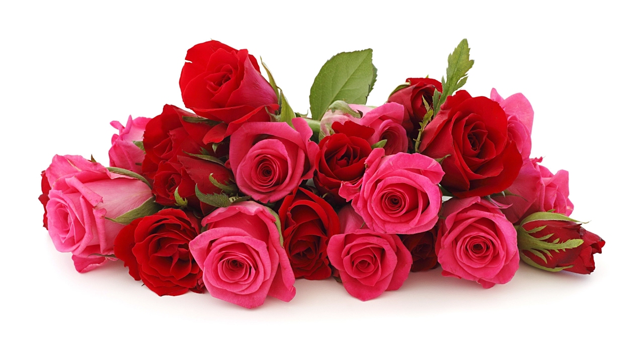 Health & Beauty Benefits of Rose Flower I Rose flower cure stress I Rose Water Benefits YouTube