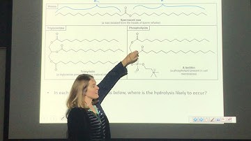 Lecture Video - Chapter 19 - Part 1