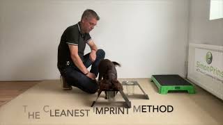 The Direct Odor Imprint (DOI) method