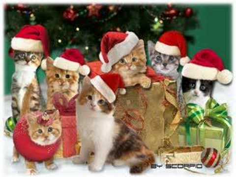 Christmas Jingle Cats