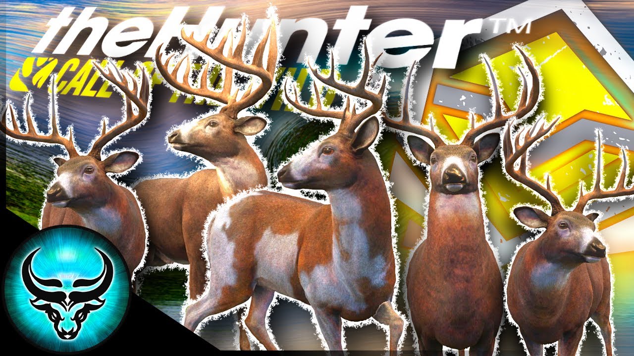 The Great One MUST Be Near! 4 More Diamond Whitetail & A Piebald