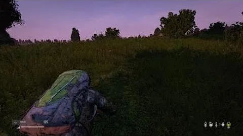 DayZ clip 2