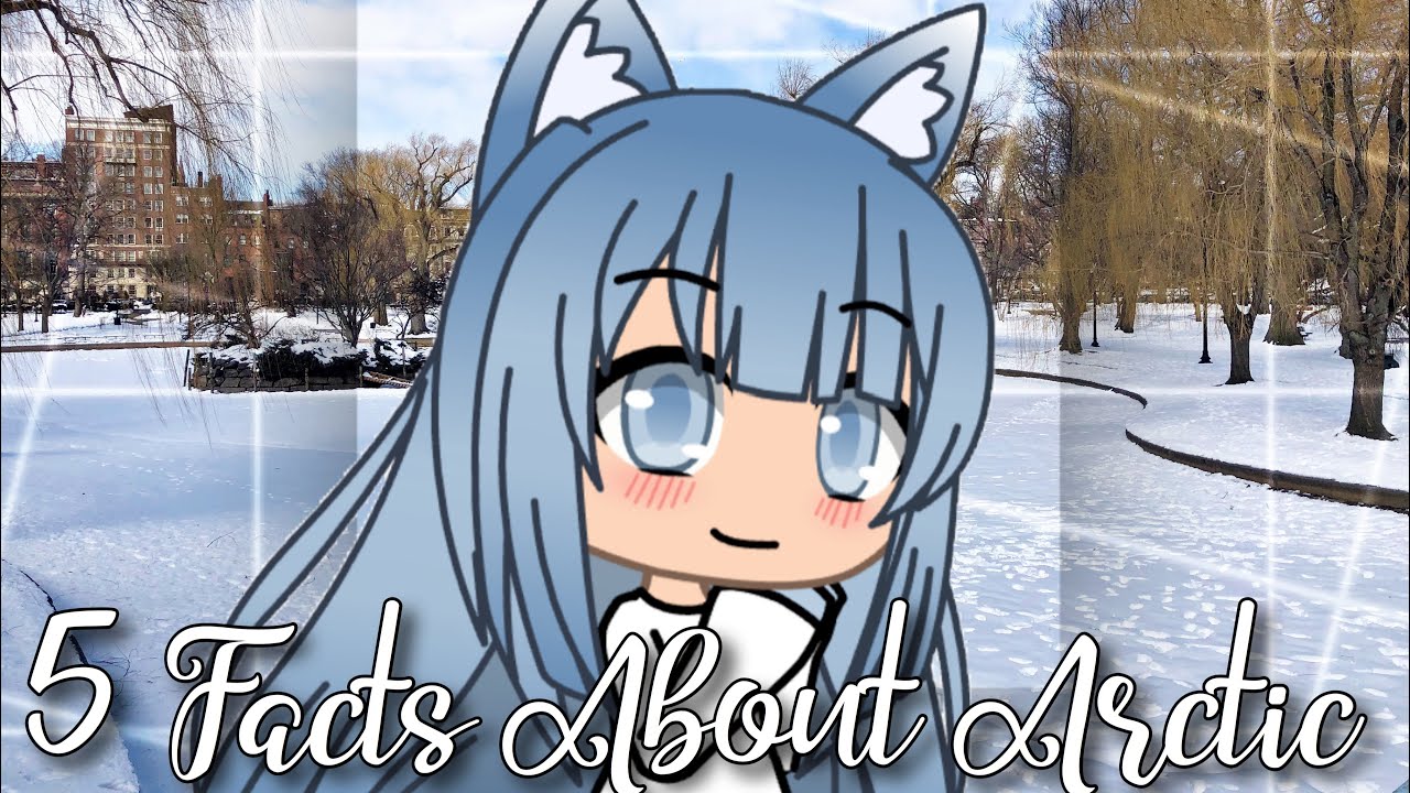 K 5 Facts About Arctic Gacha Life YouTube