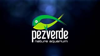 AquaRIO - NeoMedia Pure, Soft y Hard - PezVerde screenshot 2