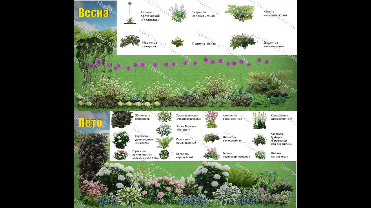 Проект цветника у дома. Готовое решение для тенистого места. - YouTube