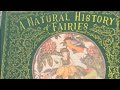 A natural history of fairies by emily hawkins  book flip thru