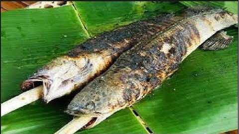 CÁ LÓC NƯỚNG RƠM |ĐẶC SẢN MIỀN TÂY SÔNG NƯỚC|