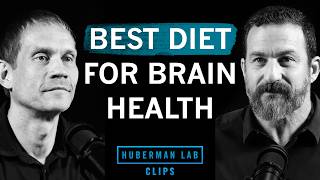 Best Diet to Improve & Maintain Brain Health | Dr. Tommy Wood & Dr. Andrew Huberman