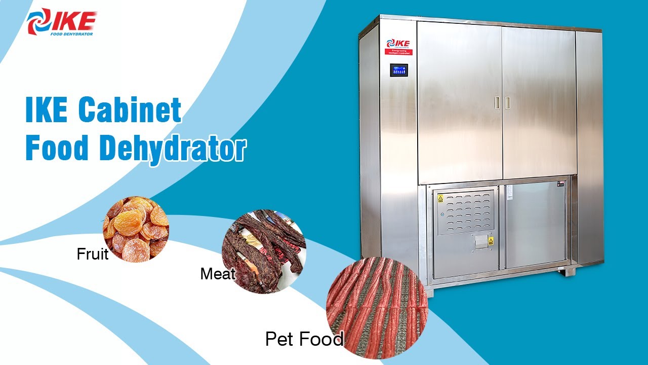 Suitable for drying dried meat, meat, pet food, preserved fruit food dryer WRH-300GB