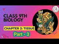 Biology class 9th NCERT Part 3 tissue 