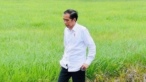 Jokowi : Kita Harus Membuat Generasi Muda Berminat Jadi Petani! Ada Jaminan Tak Impor Saat Panen?