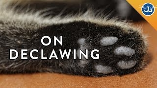 Declawing: Jackson Galaxy Just Says No!