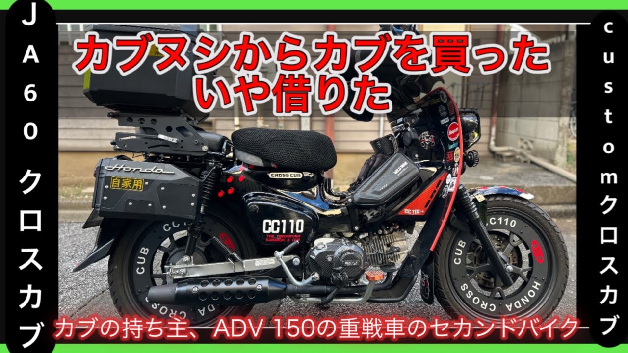 カブヌシからカブを買った❗️いゃ借りた - YouTube