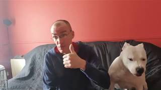 Get Hemp - Fruittella CBD Flower Review