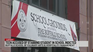 Teen accused of stabbing girl at Buffalo school indicted