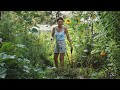 Cultivando nuestra comida  cosecha de romero y verduras de la huerta