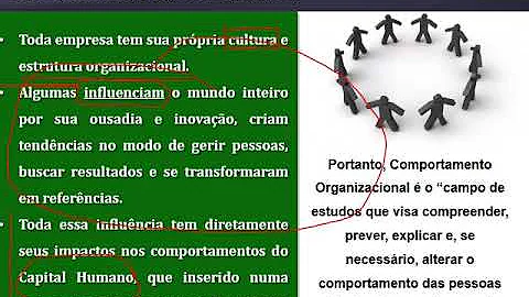 O que é o capital humano nas organizações?