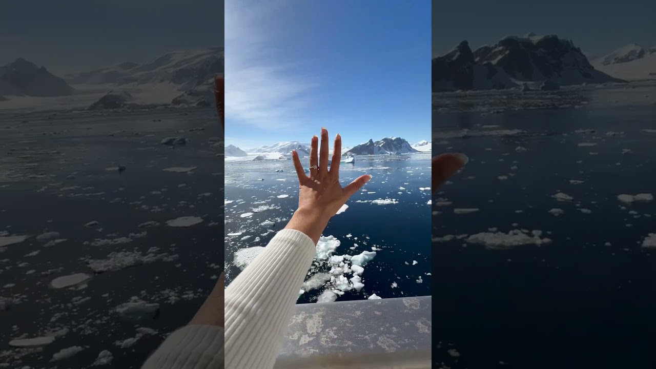Sunny Morning in Antarctica #antarctica #vlog  #hindi