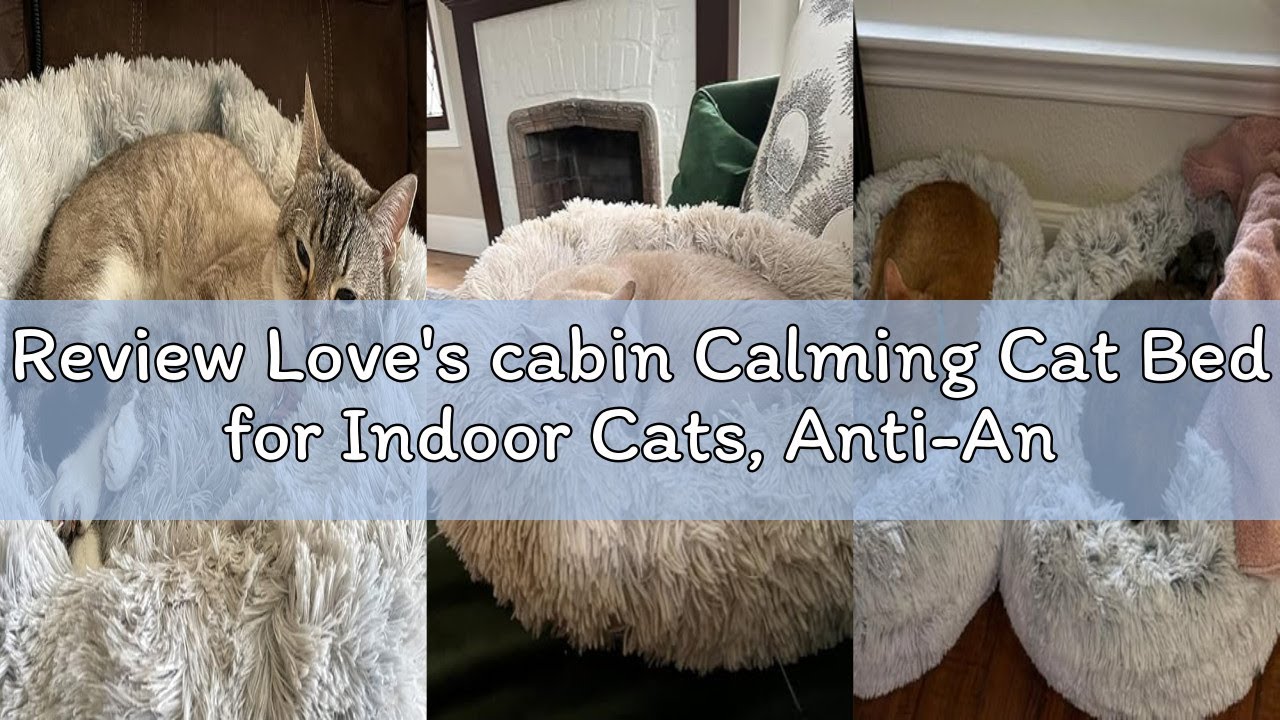 Review Love's cabin Calming Cat Bed for Indoor Cats, Anti-Anxiety Donut Round Dog Bed, Fluffy Faux F
