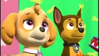 Paw Patrol Chase and Skye Tribute for Chase the Pup
