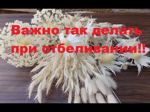 Перекись 60.Отбеливаем растения.Основные правила!!