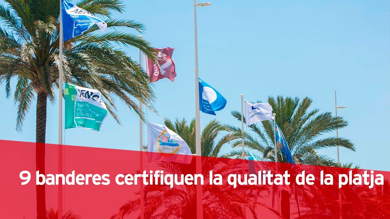 La platja de Gandia, referent en qualitat, salut, seguretat i sostenibilitat | Diana Morant