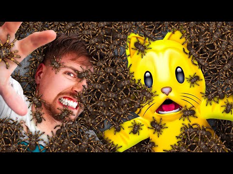 Mr. Beast Made My FEAR of SPIDERS WORSE!!