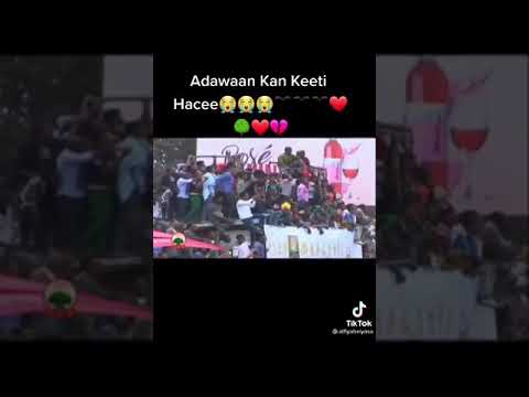 Goota Dhugaa Hacaluu Hundessaa