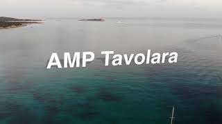 Freediving Family Workshop In Sardegna By Marina Kazankova Video By Clelia Michelini