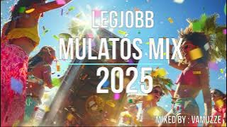 Legjobb Mulatós Zenék 2025 NYÁR (Mixed by : DJ VAMUZZE) 06.28
