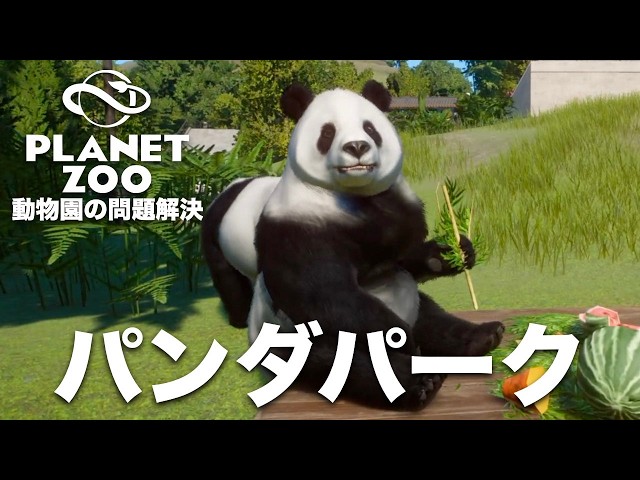 Solving Zoo Problems🐼] Working at a Panda-exclusive zoo [Planet
