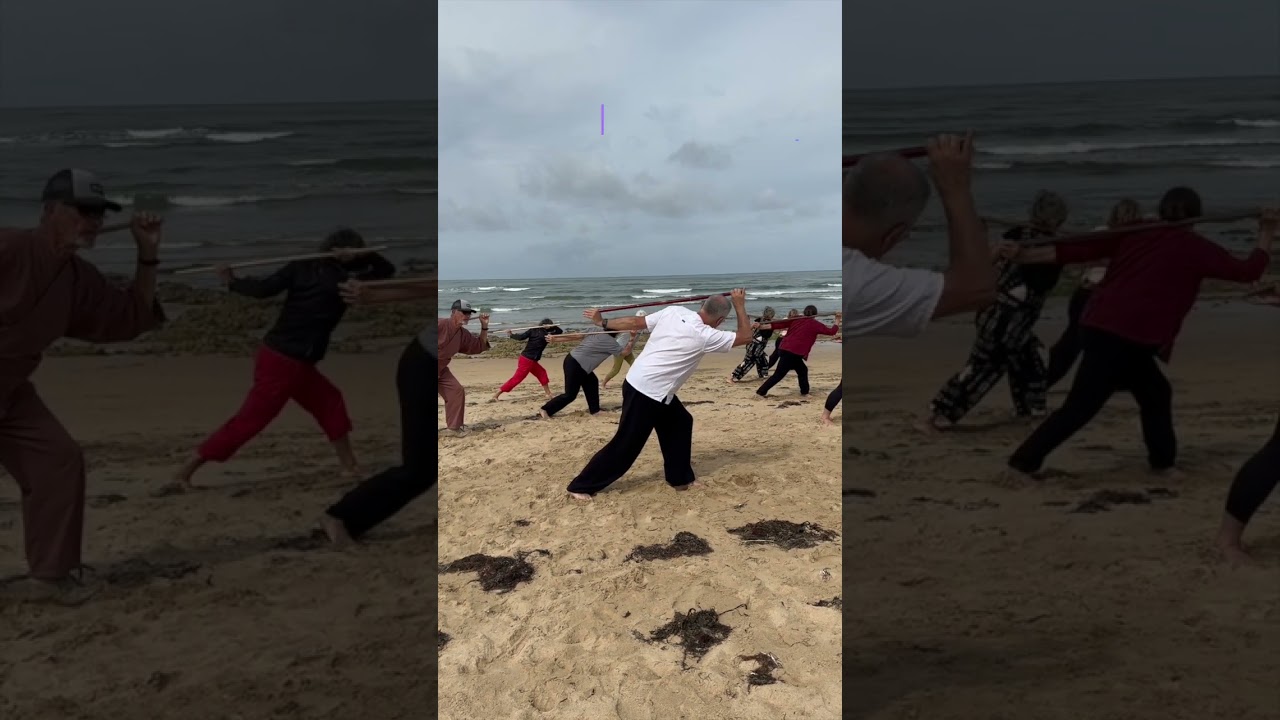 Teaser Taiji Yangsheng Zhang