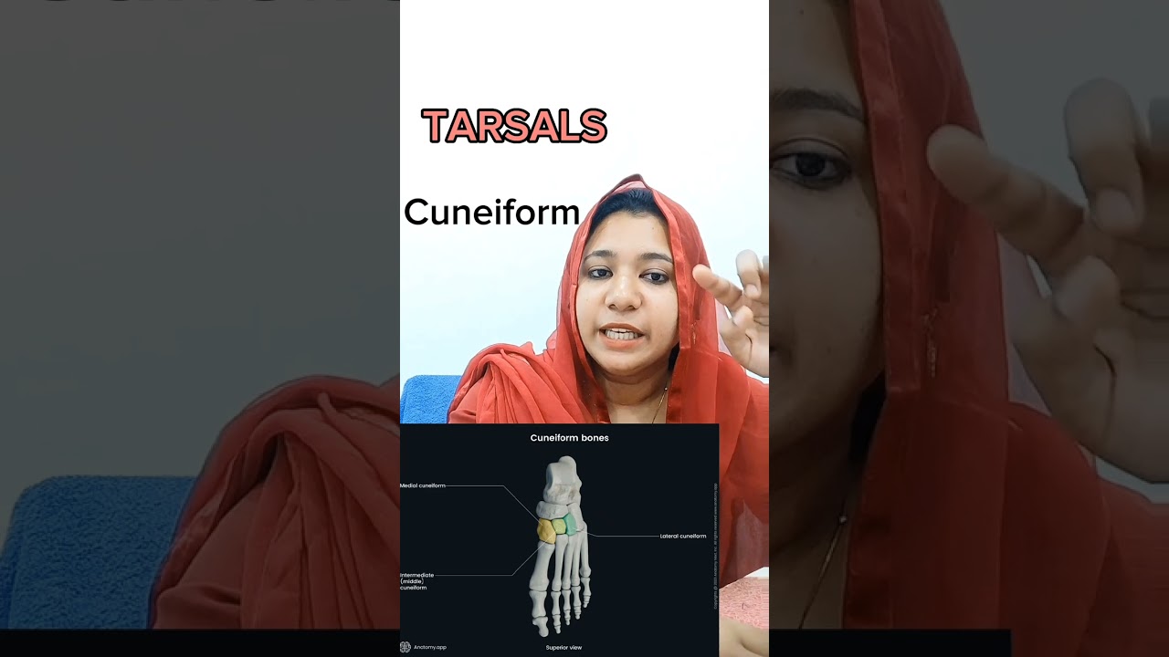 BONES OF LOWER LIMB | ANATOMY | MALAYALAM