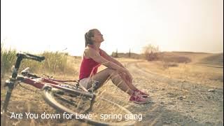 Are You down for Love - spring gang