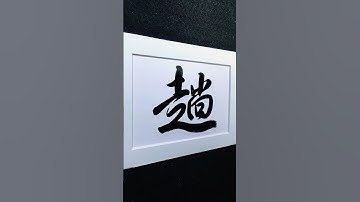 4000 Chinese characters semi-cursive style 趟pass demo by Picasso Hou