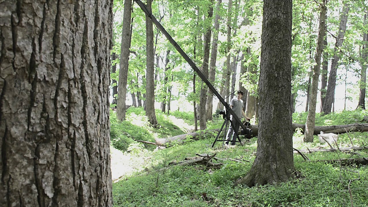 Forest Scenes - YouTube