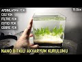 Nano Bitkili Akvaryum Kurulumu - Zemin ve Bitkiler - CO2 ve Filtre Yok, Isıtıcı ve Aydınlatma Yok