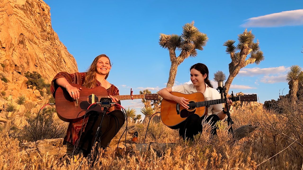 Never Going Back Again - Fleetwood Mac cover