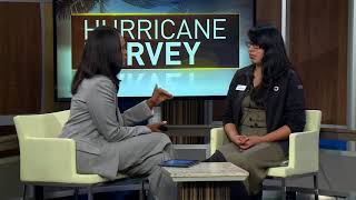 Newsmaker: Red Cross ready for Hurricane Harvey