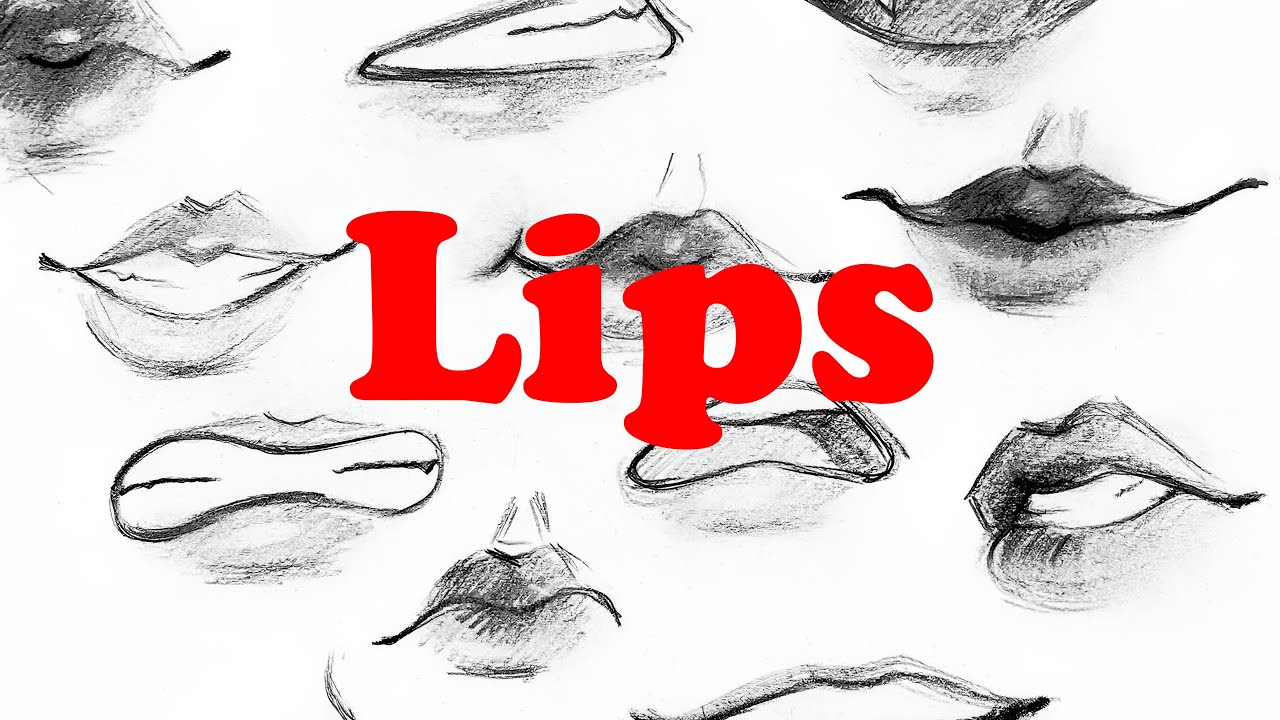 Anime Lips Reference