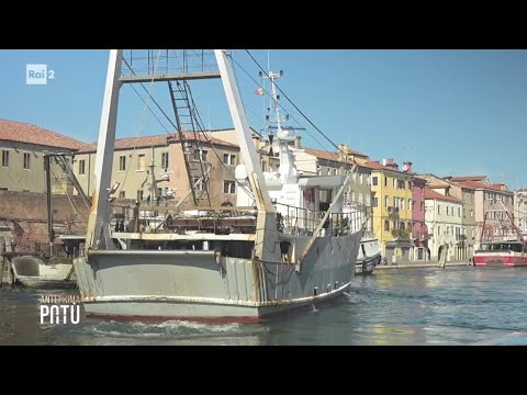Fishing crisis: empty sea and high fuel costs - Patù, the passion for ideas 10/14/2026