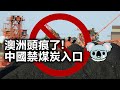 20201014I【澳洲頭痕了】中國禁煤炭入口    |   芒向快報