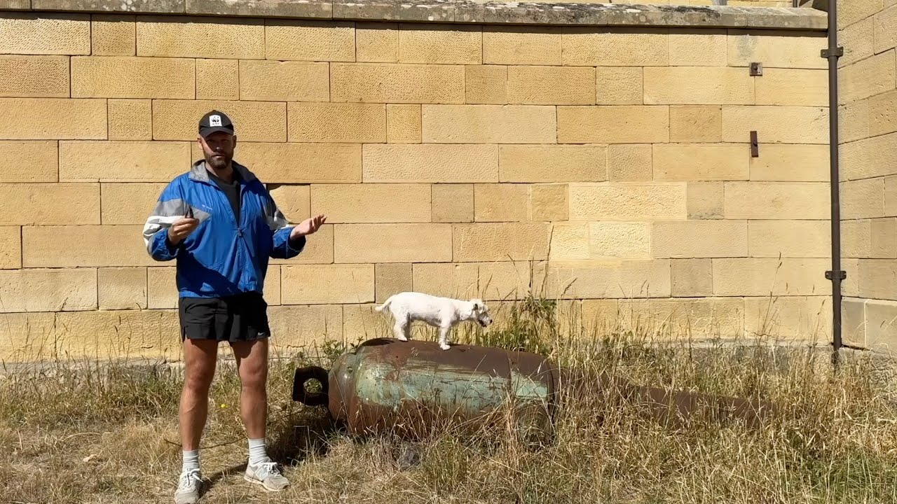 Domain Ruled By No Man