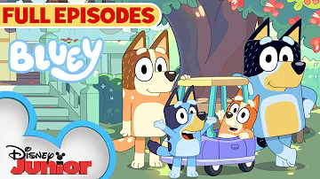 Bluey Full Episodes! | Keepy Uppy, Sleepytime, Bus and MORE! | 2 HOUR Compilation | @disneyjunior