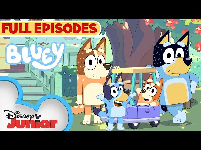 Bluey Full Episodes! | Keepy Uppy, Sleepytime, Bus and MORE! | 2 HOUR Compilation | @disneyjunior class=